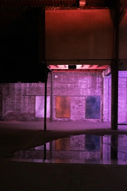 Experiencia inmersiva en el festival